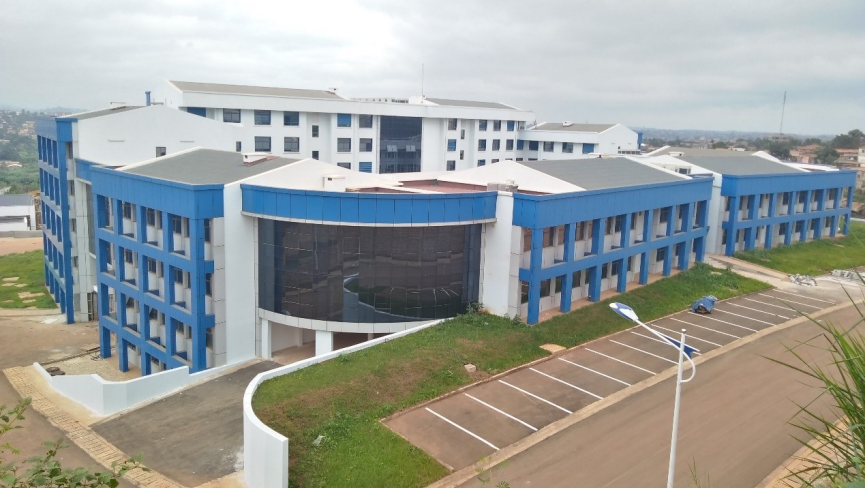 喀麦隆FEICOM大楼项目